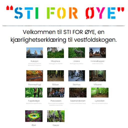 Image Sti for øye- Stokke - 1