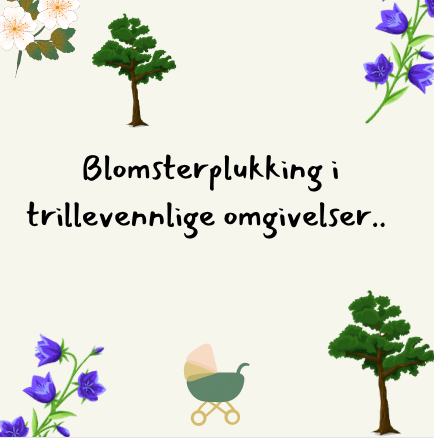 Image Blomsterplukking og trilletur - 1
